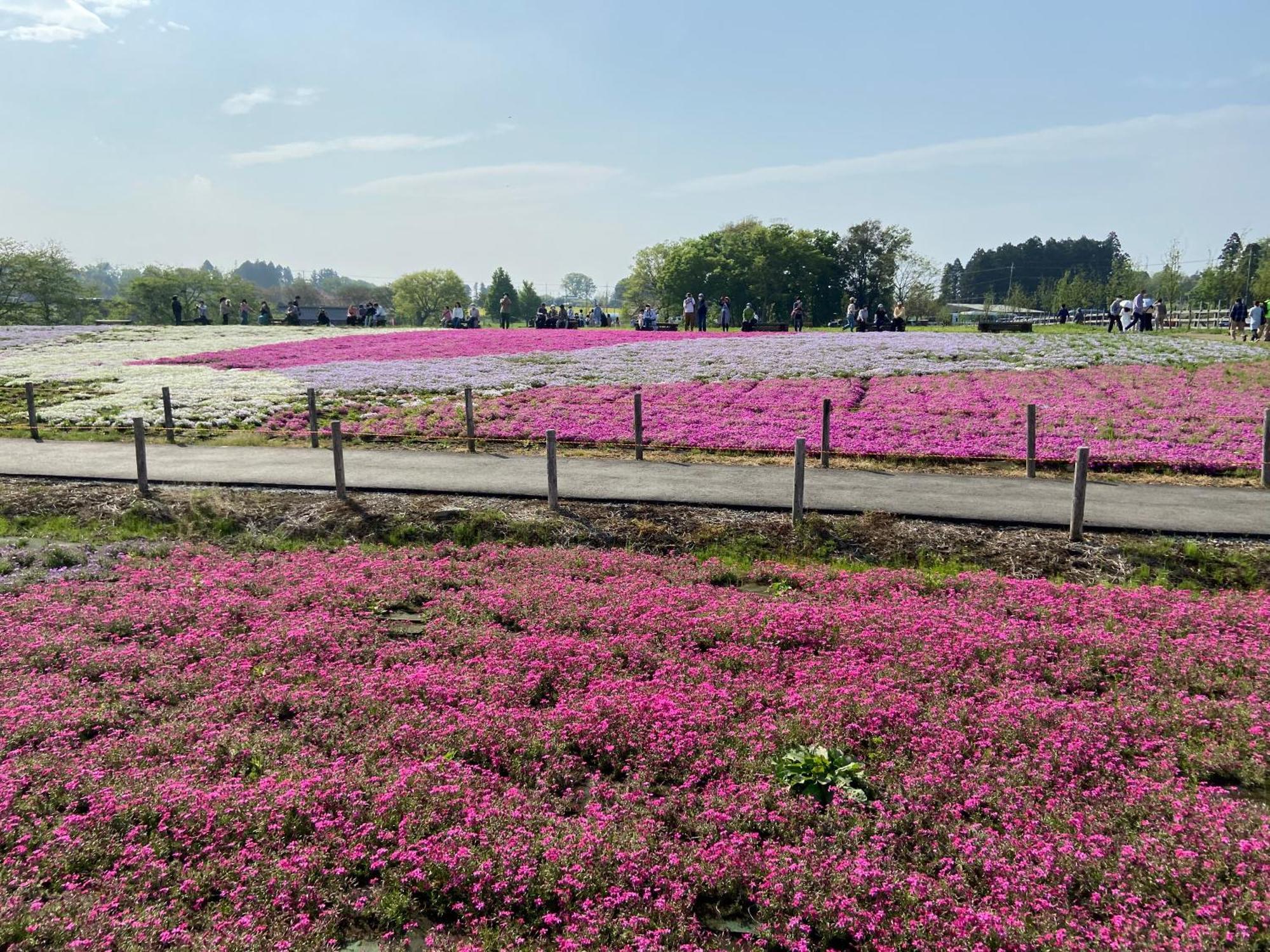 Vessel Inn Keisei Tsudanuma Station Narashino Zewnętrze zdjęcie